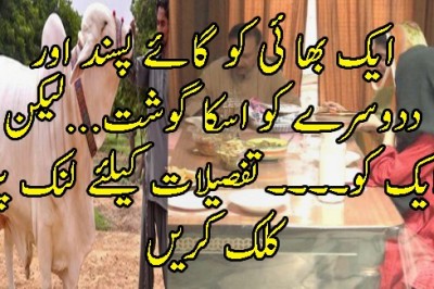 ایک بھا ئی کو گائے پسند اور ددوسرے کو اسکا گوشت