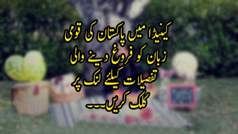 'کینیڈا میں پاکستان کی قومی زبان کو فروغ دینے والی 'سپر اردو موم