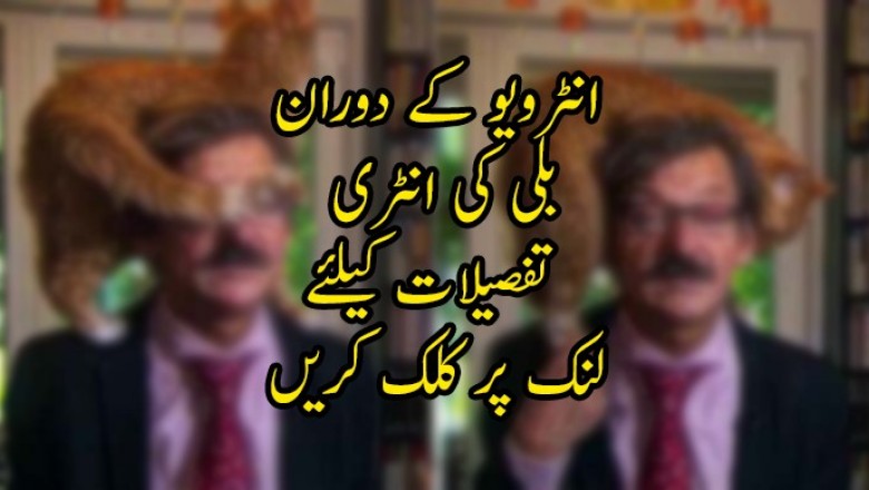 ملکی سیاست پر انٹرویو کے دوران بلی کی انٹری