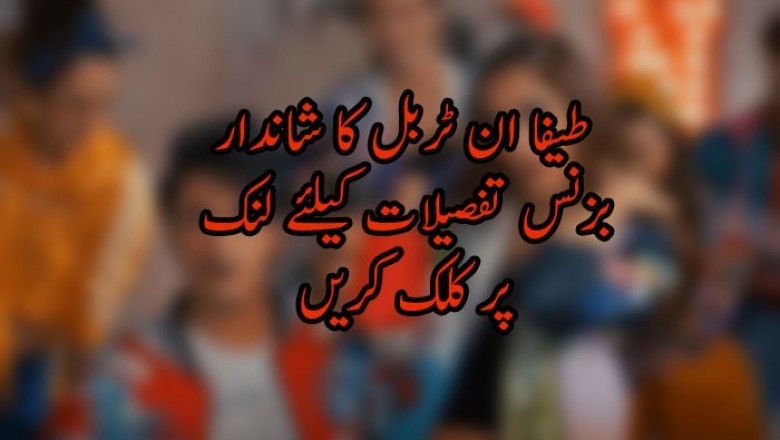 طیفا ان ٹربل کا شاندار بزنس
