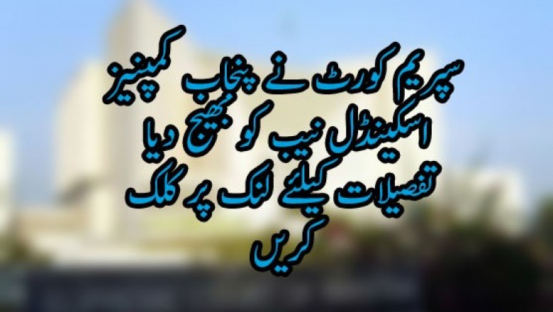 سپریم کورٹ نے پنجاب کمپنیز اسکینڈل نیب کو بھیج دیا، 10 روز میں رپورٹ طلب