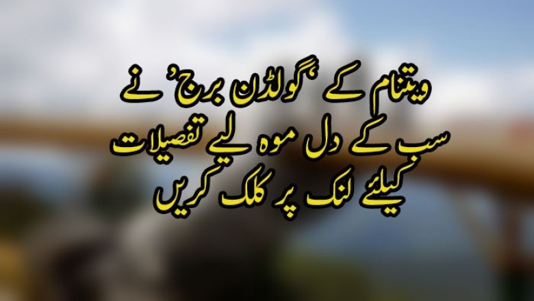 ویتنام کے ’گولڈن برج‘ نے سب کے دل موہ لیے