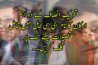تحریک انصاف کے دو اہم  ارکان کا نام ای سی ایل میںشامل