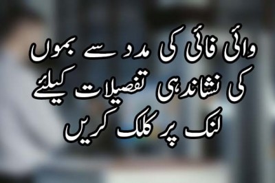  وائی فائی کی مدد سے بموں کی نشاندہی