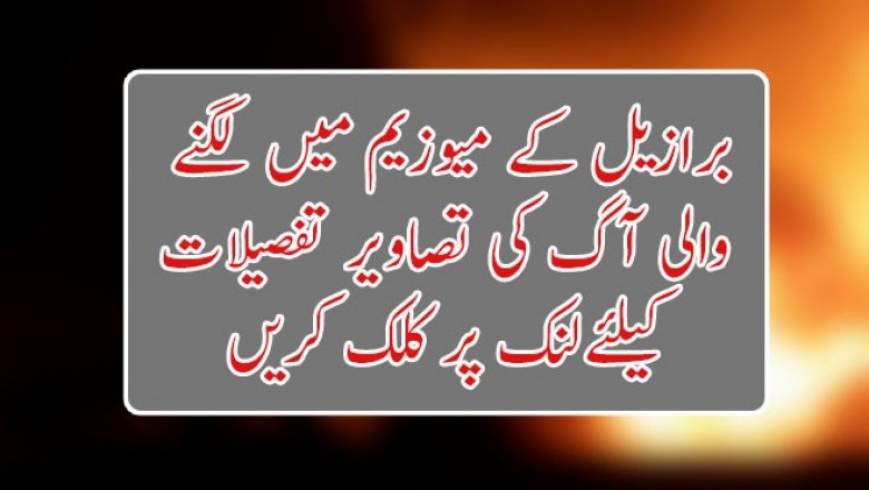 برازیل کے میوزیم میں لگنے  والی آگ کی تصاویر 