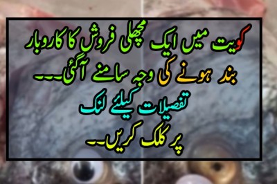 کویت میں مچھلی فروش کا کاروبار  بند  ہونے کی وجہ سامنے آگئی۔۔۔