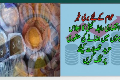 اقتصادی رابطہ کمیٹی کا اجلاس قیمتوں میں اضافے کی منظوری