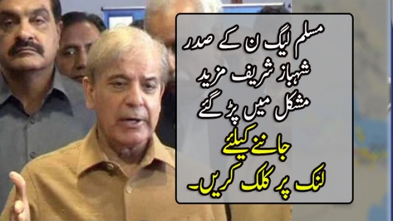 مسلم لیگ ن کے صدر شہباز شریف مزید مشکل میں پڑ گئے