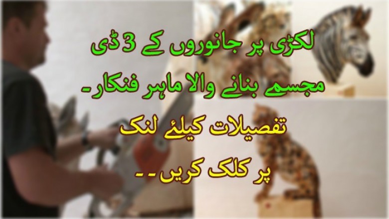 لکڑی پر جانوروں کے 3 ڈی مجسمے بنانے والا ماہر فنکار