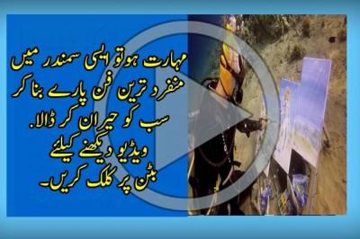 سمندر میں غوطہ خوری کے دوران منفرد فن پارے تخلیق کر لیے