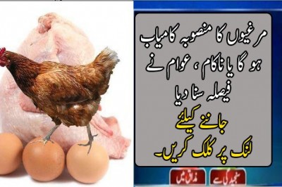 مرغیوں کا منصوبہ کامیاب ہو گا یا ناکام ؟