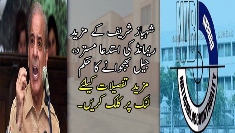  شہباز شریف کے مزید ریمانڈ کی استدعا مسترد، جیل بھجوانے کا حکم