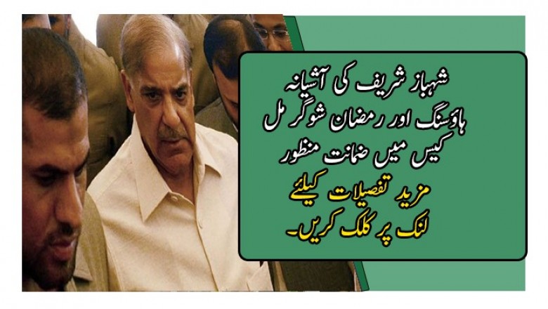 شہباز شریف کی آشیانہ ہاؤسنگ اور رمضان شوگر مل کیس میں ضمانت منظور