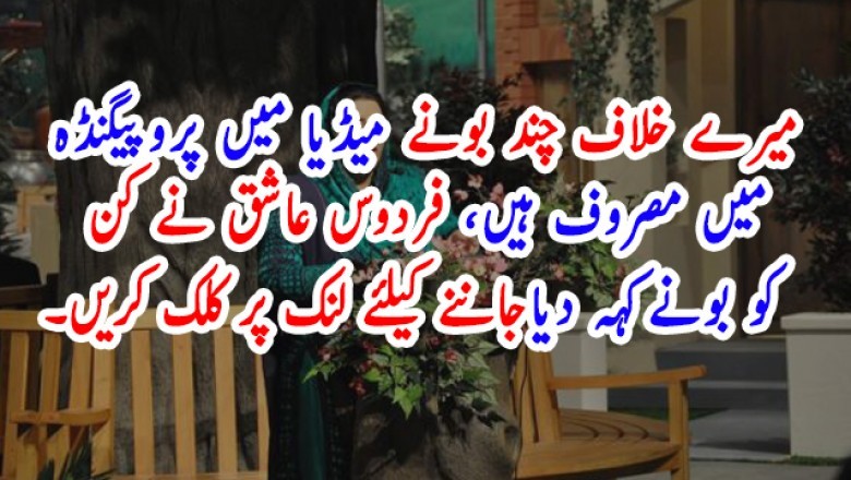 میرے خلاف چند بونے میڈیا میں پروپیگنڈہ میں مصروف ہیں، فردوس عاشق