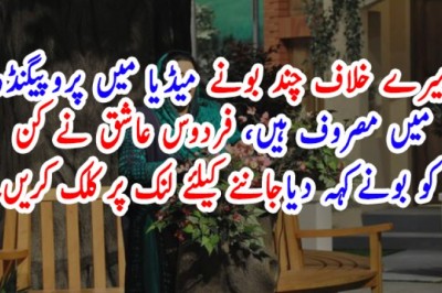 میرے خلاف چند بونے میڈیا میں پروپیگنڈہ میں مصروف ہیں، فردوس عاشق