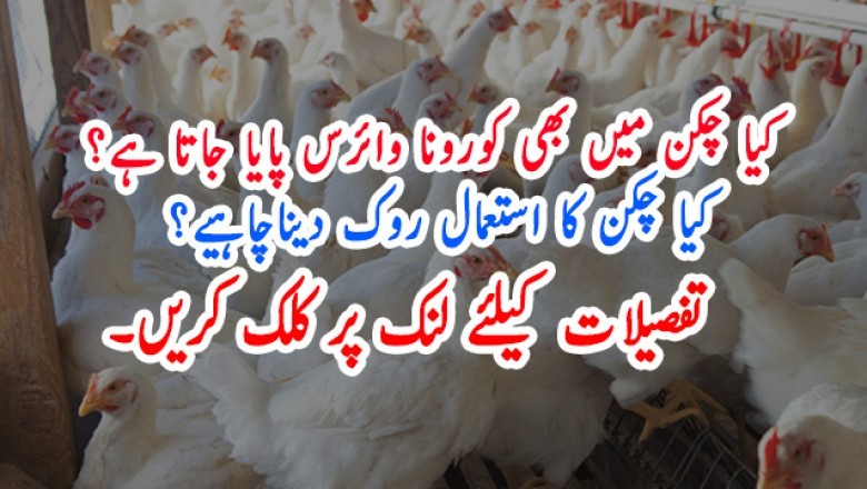 کیا چکن میں بھی کورونا وائرس پایا جاتا ہے؟