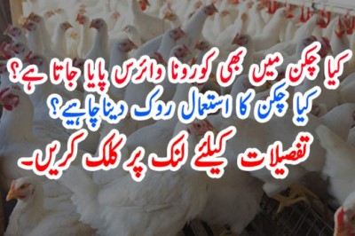 کیا چکن میں بھی کورونا وائرس پایا جاتا ہے؟
