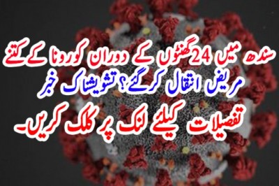 سندھ میں 24گھنٹوں کے دوران کورونا کےکتنے مریض انتقال کرگئے؟