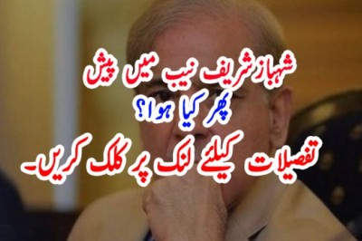 شہبازشریف نیب میں پیش