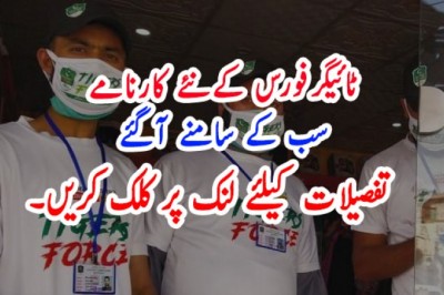 ٹائیگرفورس کے کارنامے