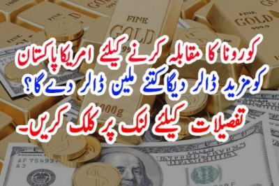 کورونا کا مقابلہ کرنے کیلئے امریکاپاکستان   کومزید ڈالر دیگاکتنے ملین ڈالر دےگا؟