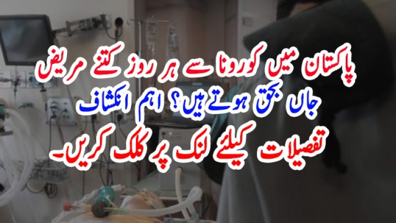 پاکستان میں کورونا سے ہر روز کتنے مریض  جاں بحق ہوتےہیں؟ اہم انکشاف
