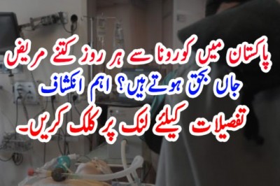 پاکستان میں کورونا سے ہر روز کتنے مریض  جاں بحق ہوتےہیں؟ اہم انکشاف