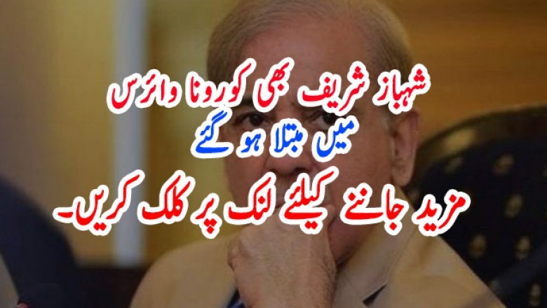 شہباز شریف کا کورونا ٹیسٹ بھی مثبت آگیا