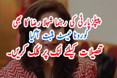پیپلزپارٹی کی رہنما شہلا رضا کا بھی کورونا ٹیسٹ مثبت آگیا