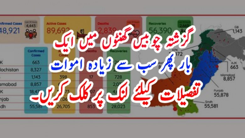 پاکستان میں گزشتہ چوبیس گھنٹوں میں ایک بار پھر اب تک کی سب سے زیادہ اموات