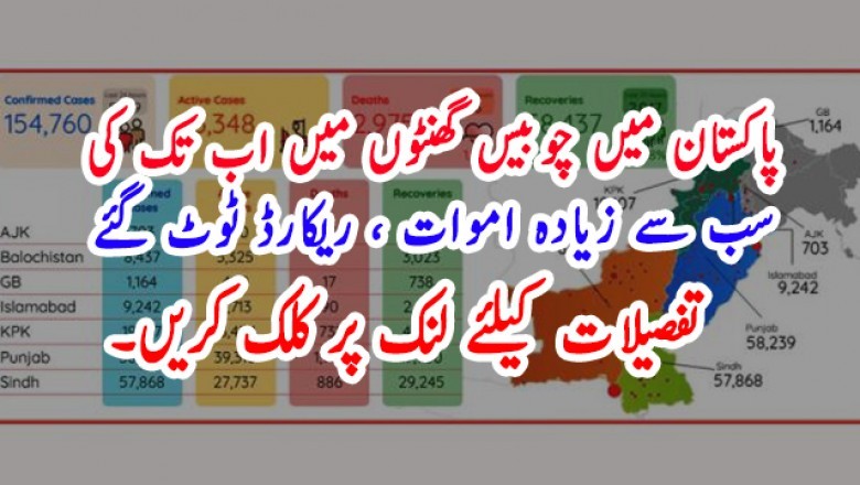 پاکستان میں چوبیس گھنٹوں میں اب تک کی  سب سے زیادہ اموات ، ریکارڈ ٹوٹ گئے