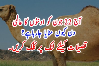 آج 22 جون کو اونٹوں کا عالمی دن کیوں منایا جارہاہے؟