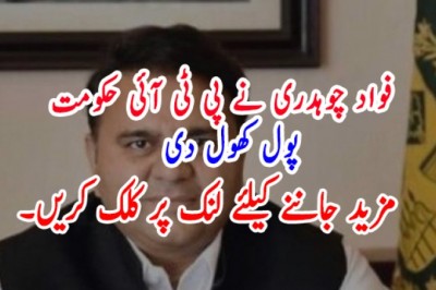 فواد چوہدری نے پی ٹی آئی حکومت   پول کھول دی