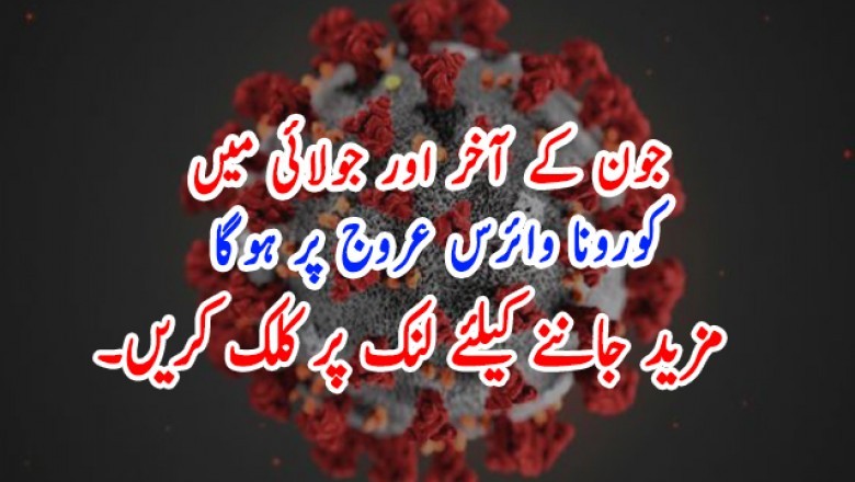 جون کے آخر اور جولائی میں کورونا وائرس عروج پر ہوگا