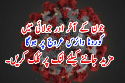 جون کے آخر اور جولائی میں کورونا وائرس عروج پر ہوگا