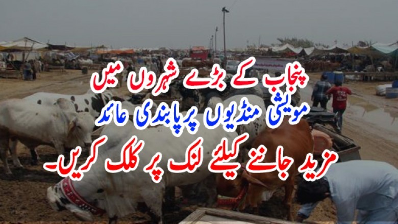 پنجاب کے بڑے شہروں میں مویشی منڈیوں پرپابندی عائد