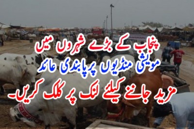 پنجاب کے بڑے شہروں میں مویشی منڈیوں پرپابندی عائد