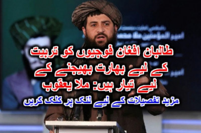 طالبان افغان فوجیوں کو تربیت کے لیے بھارت بھیجنے کے لیے تیار ہیں: ملا یعقوب