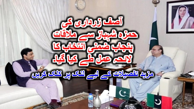 آصف زرداری کی حمزہ شہباز سے ملاقات، پنجاب ضمنی انتخاب کا لائحہ عمل طے کیا گیا۔