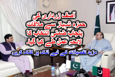 آصف زرداری کی حمزہ شہباز سے ملاقات، پنجاب ضمنی انتخاب کا لائحہ عمل طے کیا گیا۔