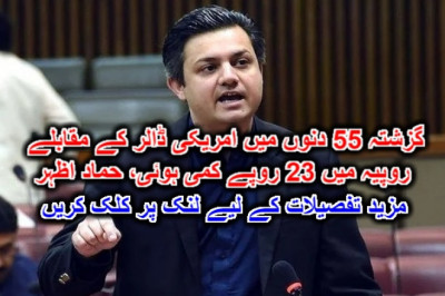 گزشتہ 55 دنوں میں امریکی ڈالر کے مقابلے روپیہ میں 23 روپے کمی ہوئی، حماد اظہر