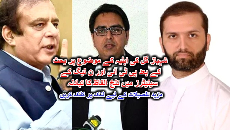 شہباز گل کی اہلیہ کے موضوع پر بحث کے بعد پی ٹی آئی اور ن لیگ کے سینیٹرز میں تلخ الفاظ کا تبادلہ