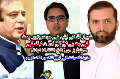 شہباز گل کی اہلیہ کے موضوع پر بحث کے بعد پی ٹی آئی اور ن لیگ کے سینیٹرز میں تلخ الفاظ کا تبادلہ