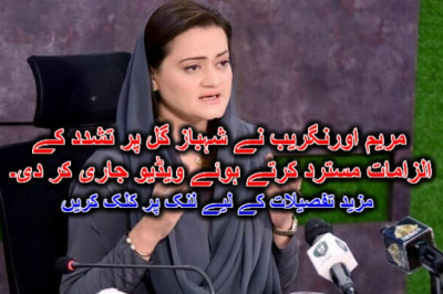 مریم اورنگریب نے شہباز گل پر تشدد کے الزامات مسترد کرتے ہوئے ویڈیو جاری کر دی۔