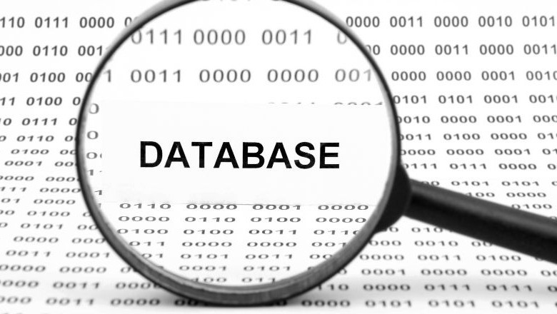 Unlock Your True Self By Exploring The Personality Database