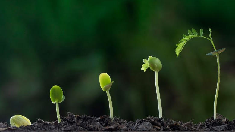 The Power of Gross Primary Productivity: Boost Your Plant Growth Today