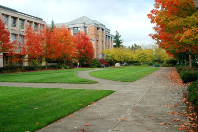 Fall Session Admissions Are Now Open At The University