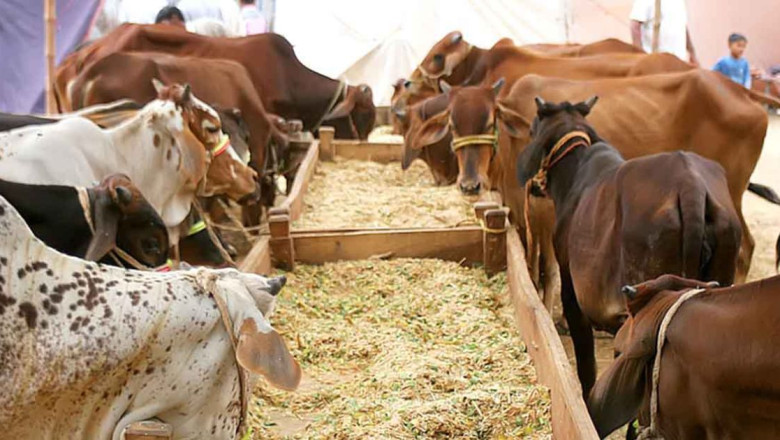 Eid-Ul-Azha Will Most Likely Be Observed on June 29 or 30
