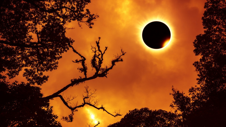Darkness Falls: April 8, 2024, Solar Eclipse Enchantment