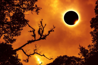 Darkness Falls: April 8, 2024, Solar Eclipse Enchantment
